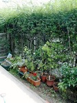 PICT4976.jpg