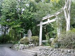 PICT5169.jpg