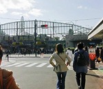 PICT5633.jpg